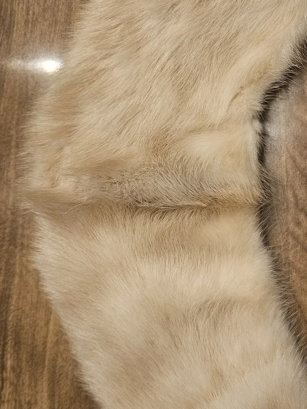 Champagne Beige Rabbit Fur Collar Scarf